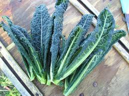 kid friendly kale