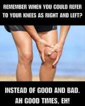 knees
