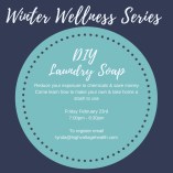 Winter Wellness Series Laundry Soap